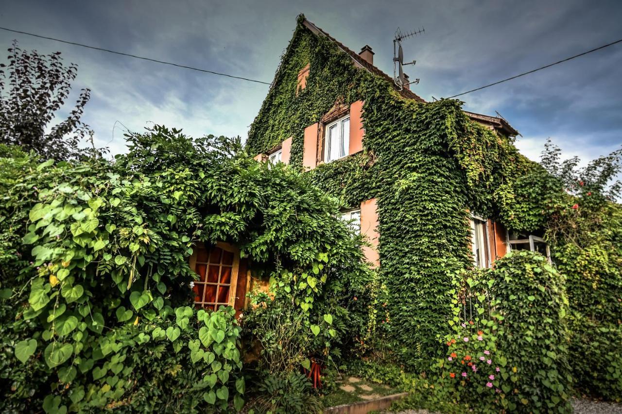 ❊ Au Murmure De L'Eau Au Coeur De L'Alsace ❊ Villa Ebersheim Exteriör bild