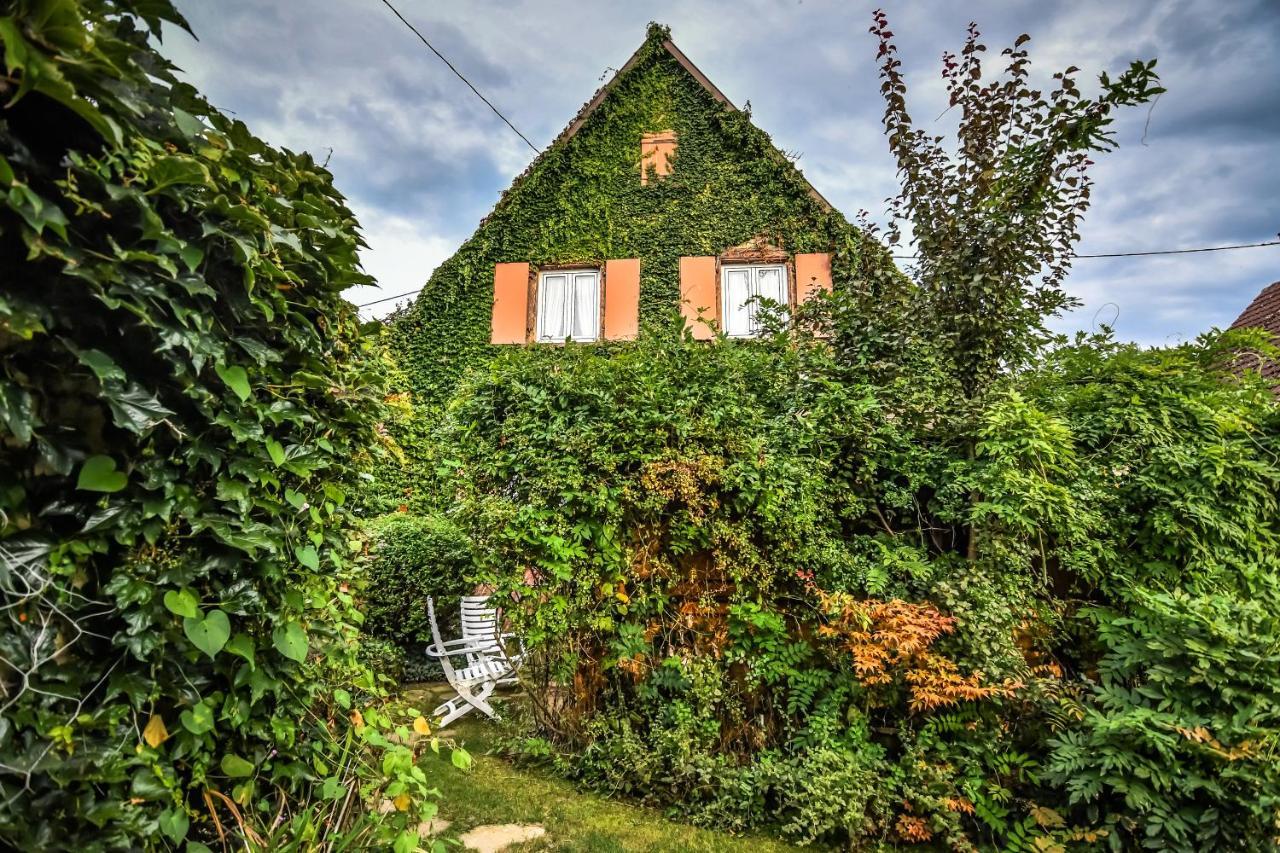 ❊ Au Murmure De L'Eau Au Coeur De L'Alsace ❊ Villa Ebersheim Exteriör bild